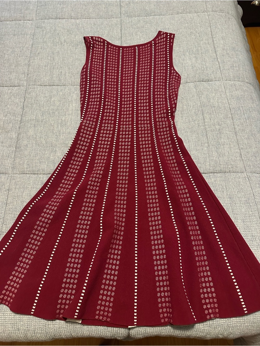 BCBG Maxazaria Dress, XS, Maroon/red